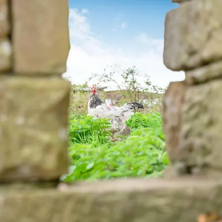 3 Bed In Caldbeck 88035