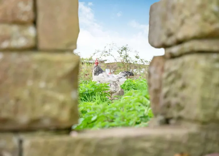 3 Bed In Wigton Oc-88035